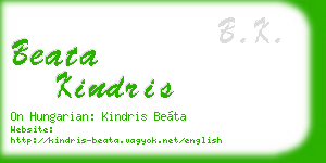 beata kindris business card